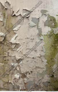 Walls Plaster 0025